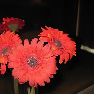https://arba-hostal.besthotelstoledo.com